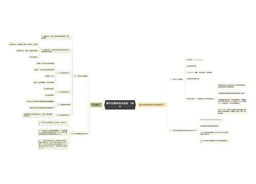 高中生物知识点总结：DNA
