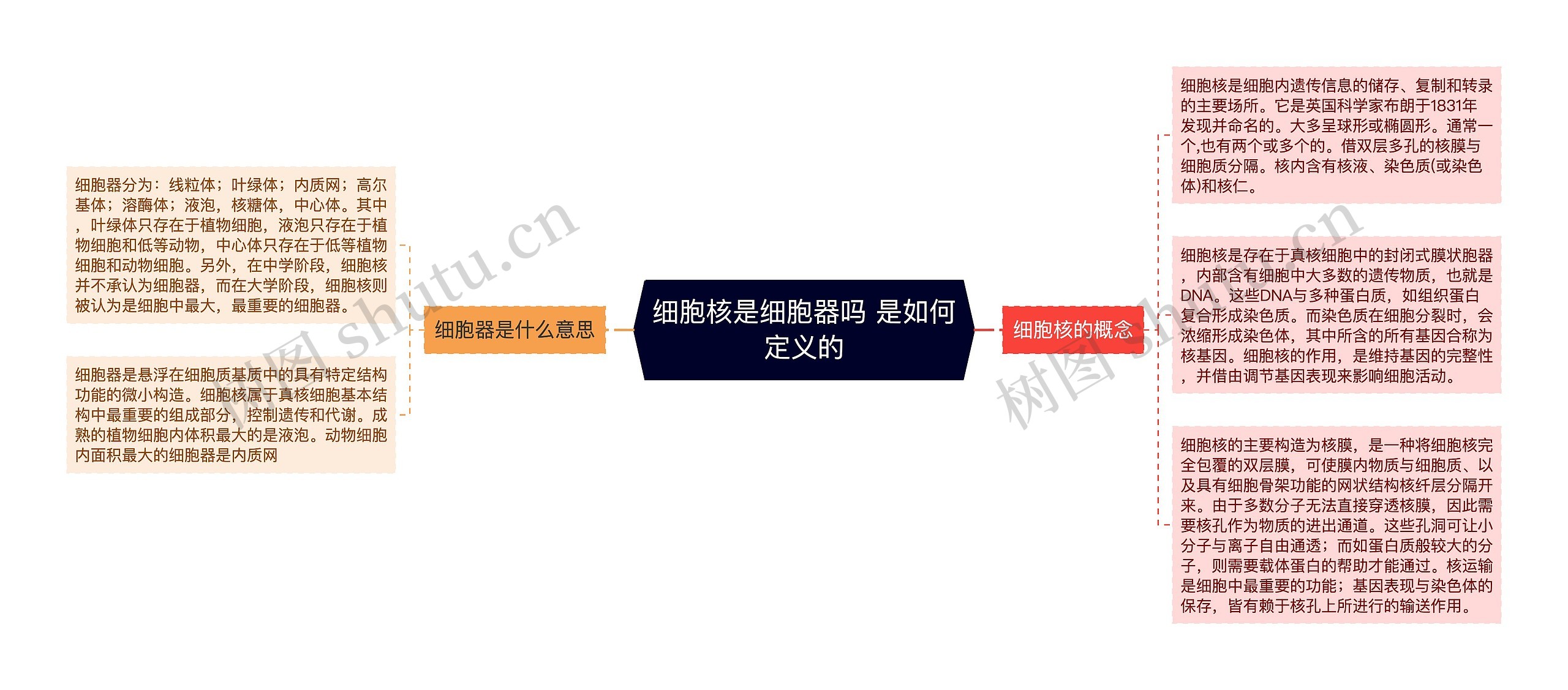细胞核是细胞器吗 是如何定义的