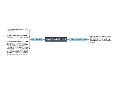 DNA分子结构是什么结构