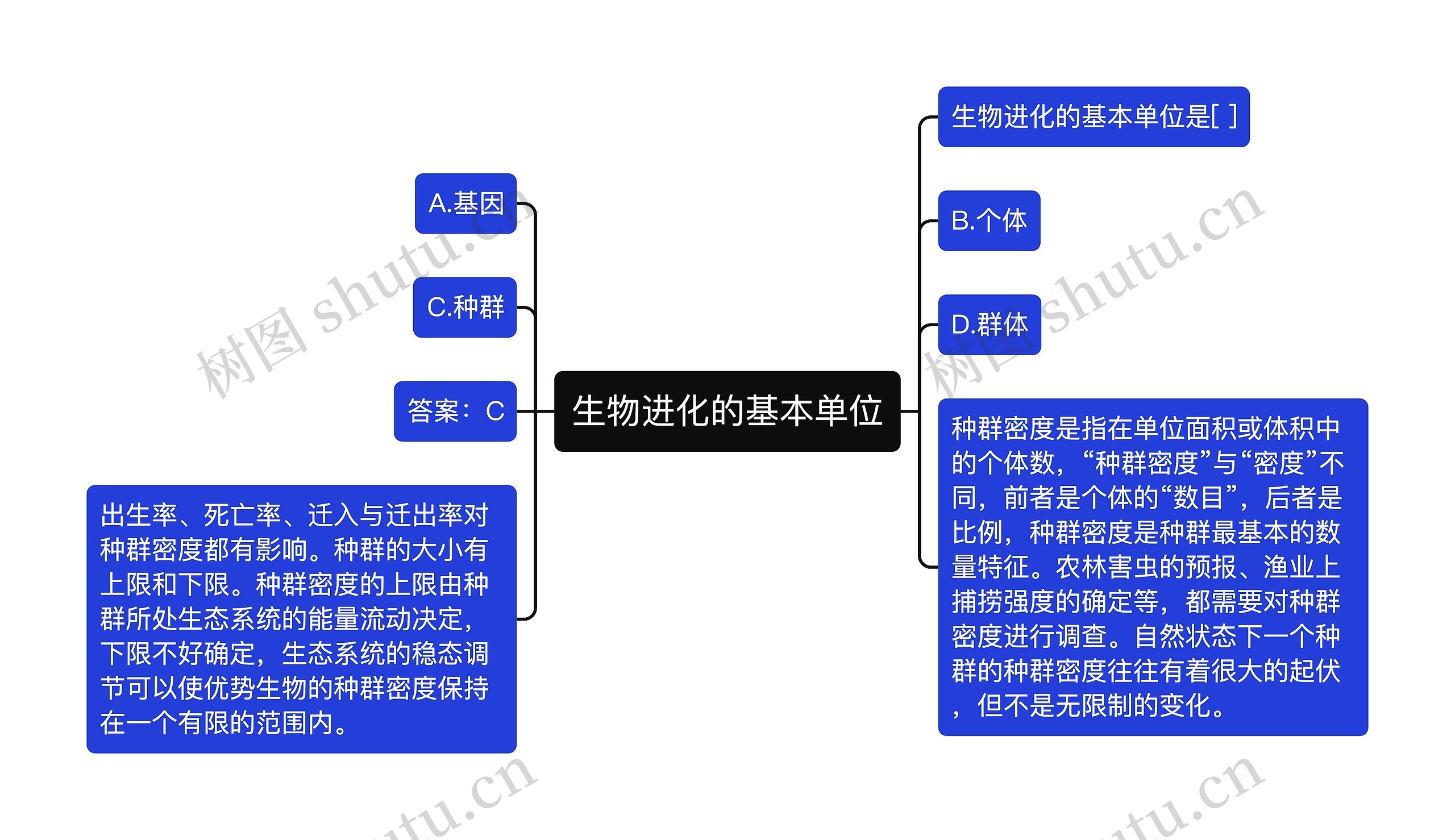 生物进化的基本单位思维导图