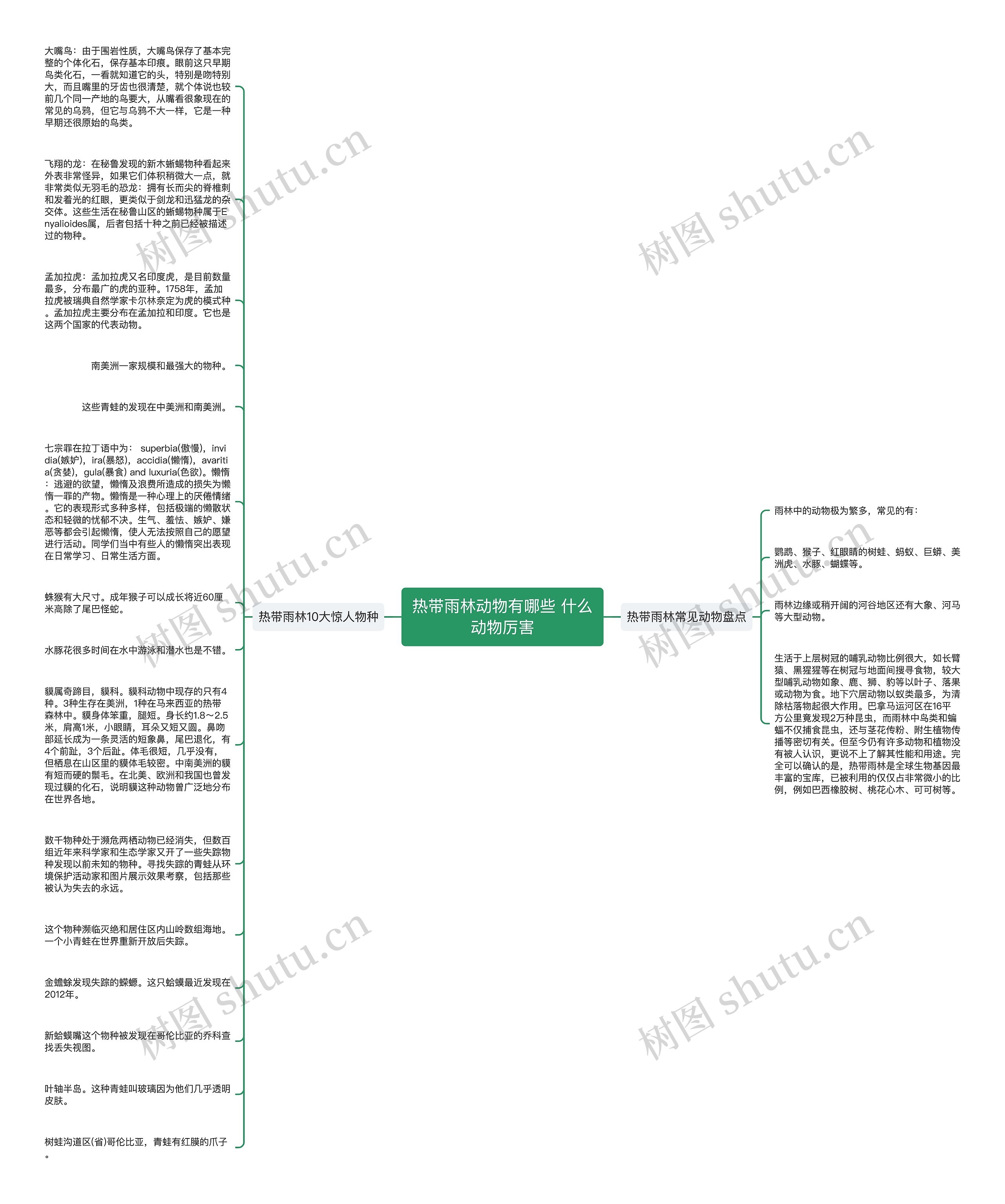 热带雨林动物有哪些 什么动物厉害思维导图