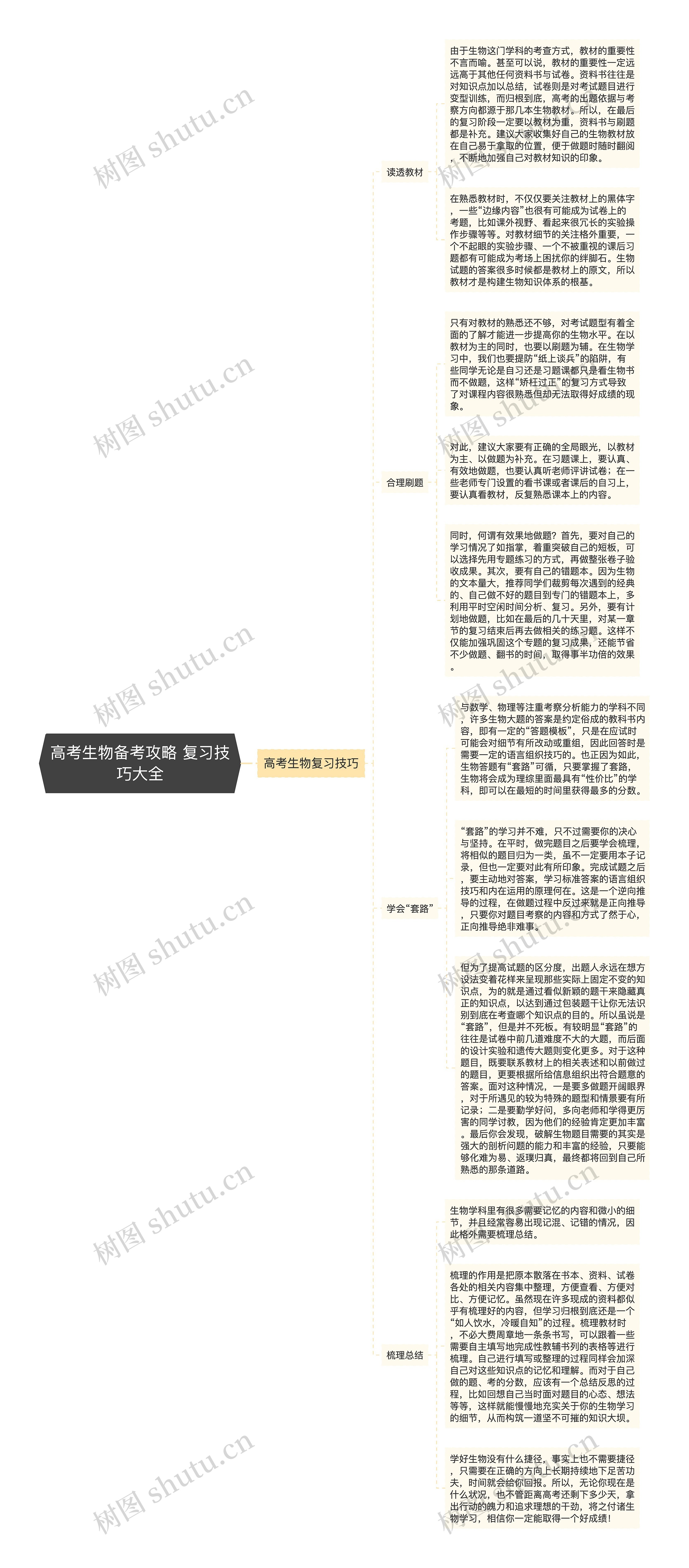 高考生物备考攻略 复习技巧大全