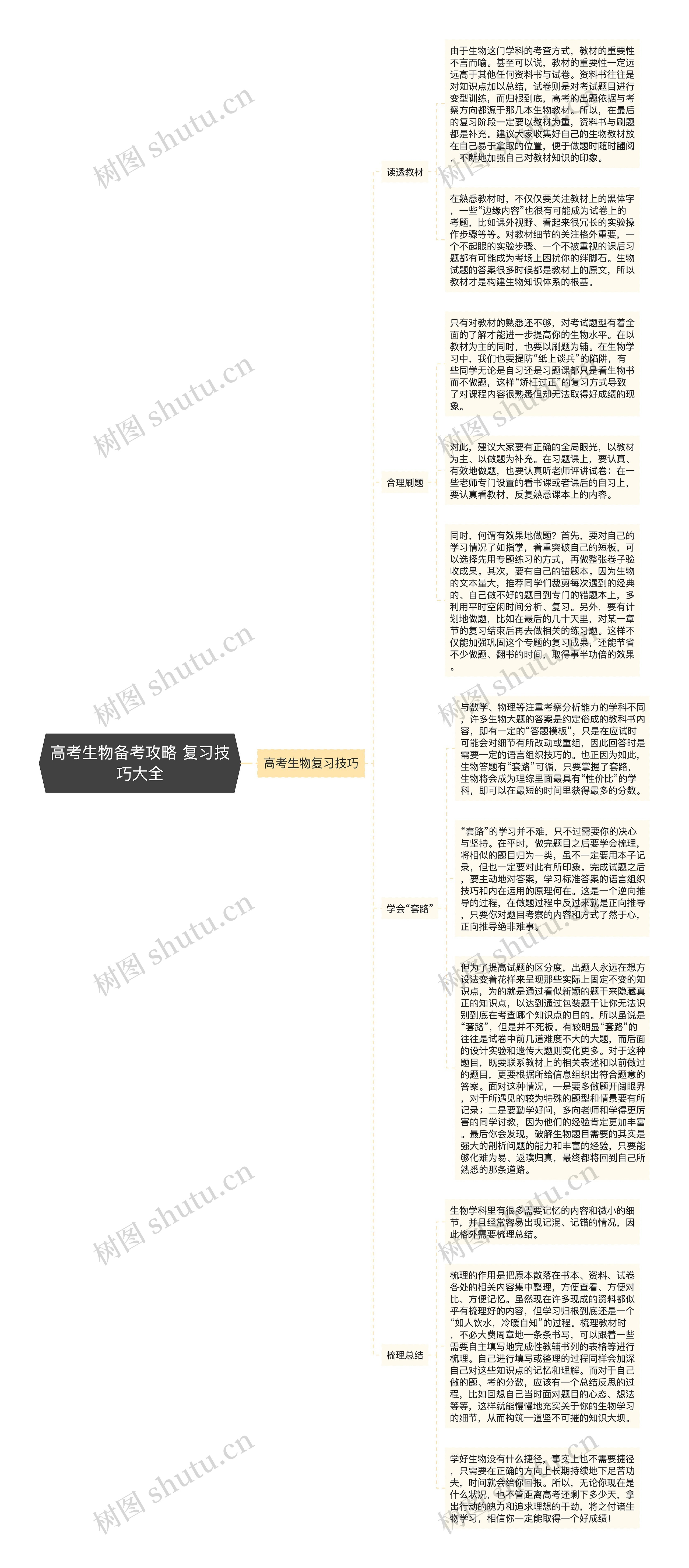 高考生物备考攻略 复习技巧大全思维导图