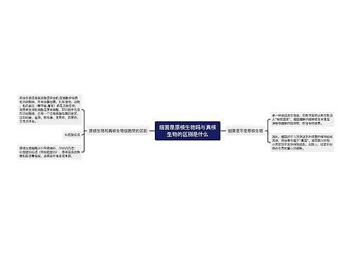 细菌是原核生物吗与真核生物的区别是什么