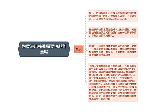 物质进出核孔需要消耗能量吗