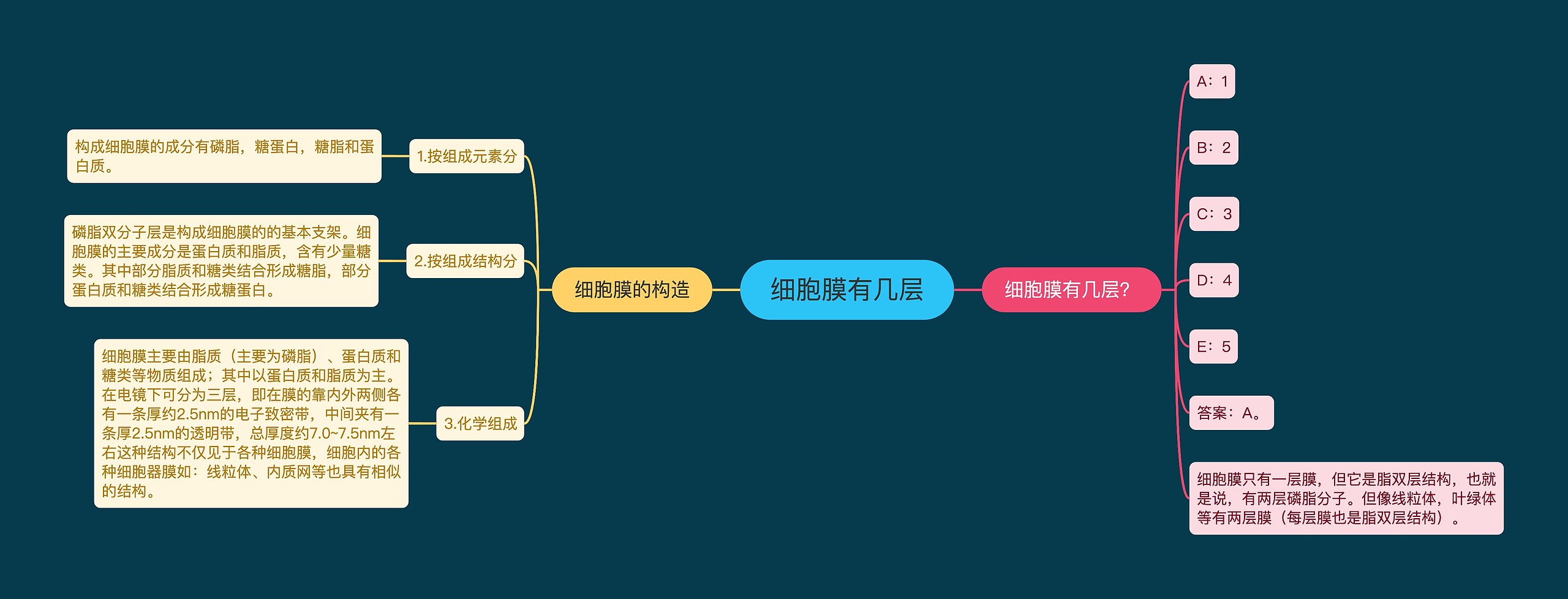 细胞膜有几层思维导图