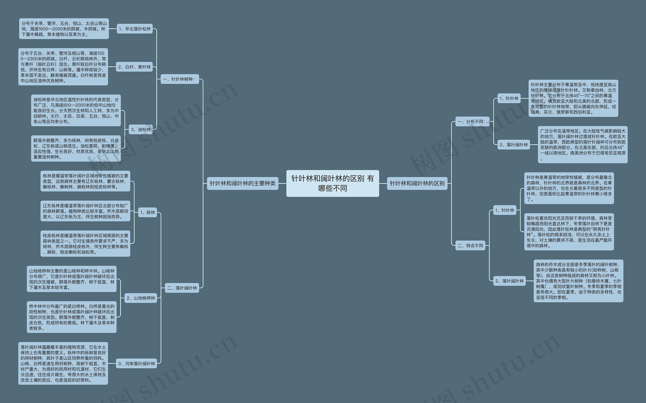 针叶林和阔叶林的区别 有哪些不同思维导图