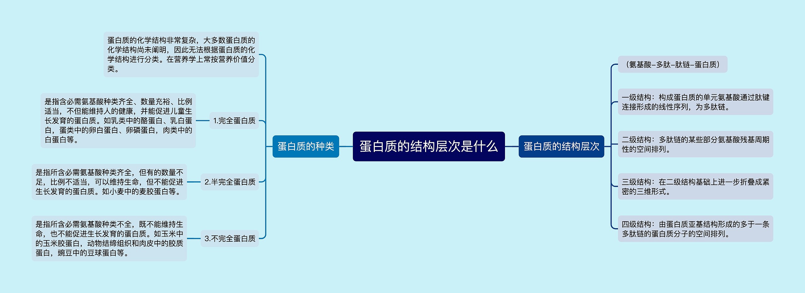 蛋白质的结构层次是什么思维导图