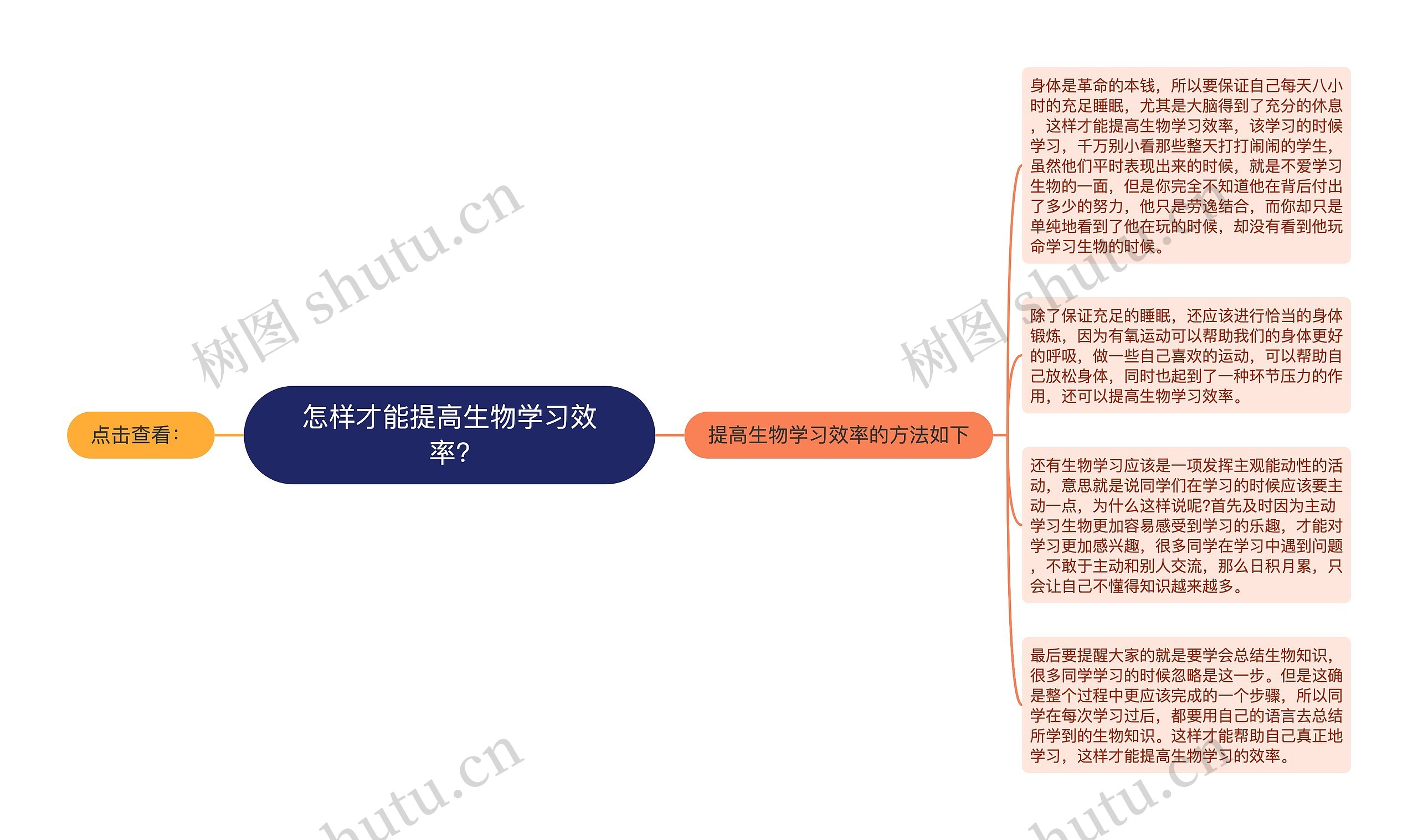 怎样才能提高生物学习效率?思维导图