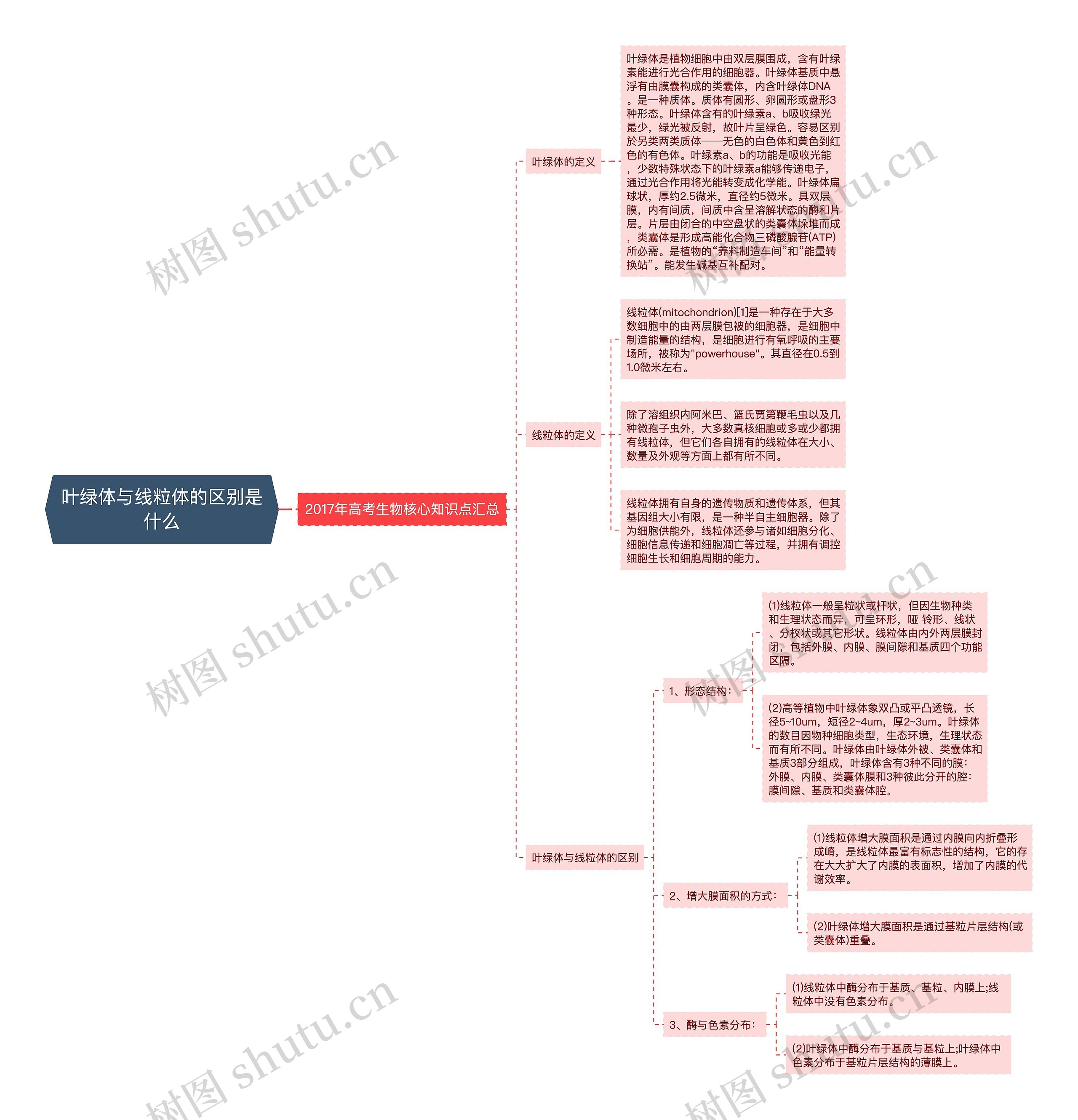 叶绿体与线粒体的区别是什么思维导图