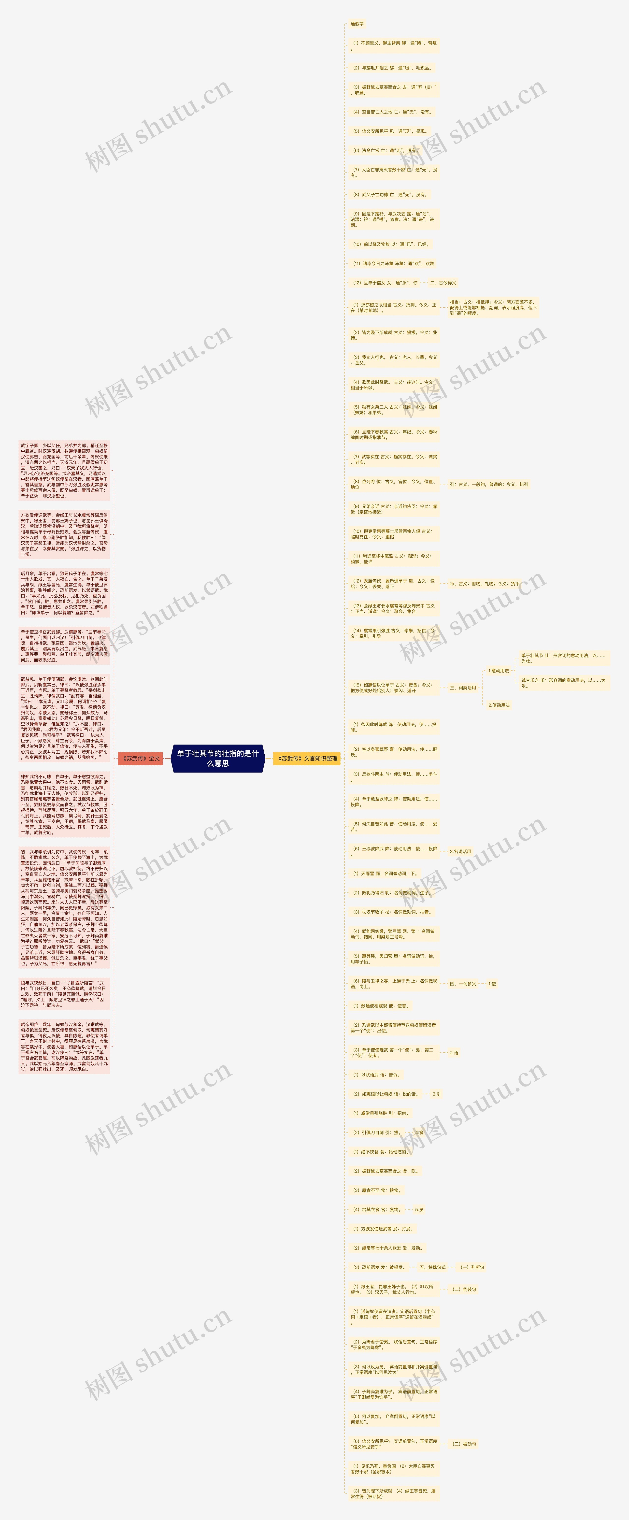 单于壮其节的壮指的是什么意思思维导图