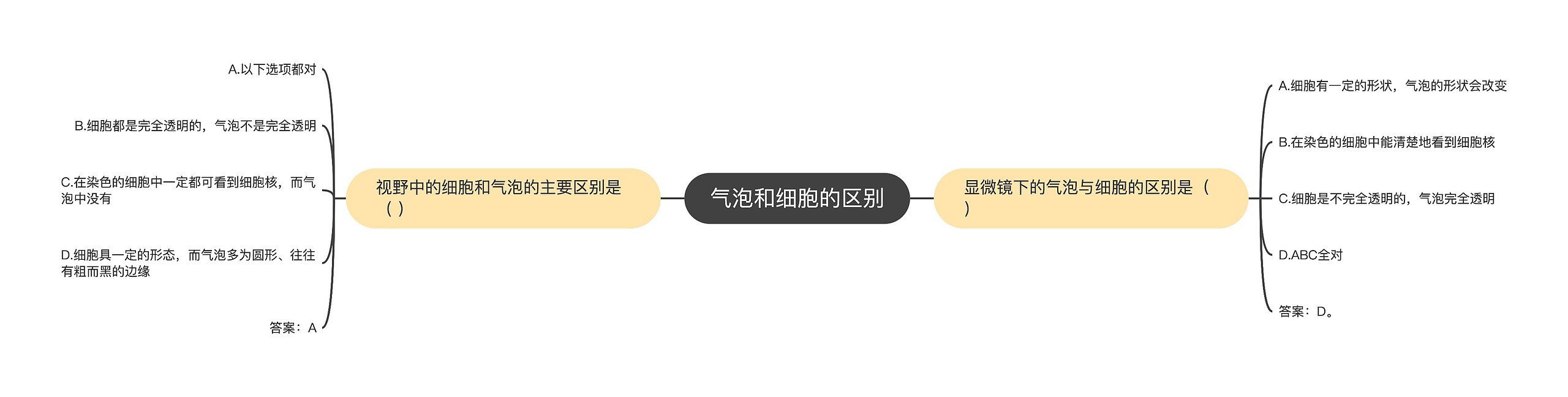 气泡和细胞的区别