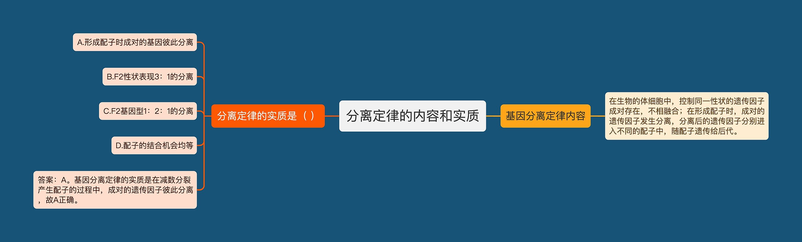 分离定律的内容和实质思维导图高清图 分离定律的内容和实质思维导图