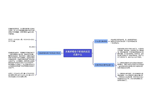 无氧呼吸各个阶段的反应式是什么