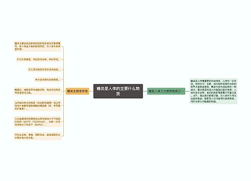 糖类是人体的主要什么物质