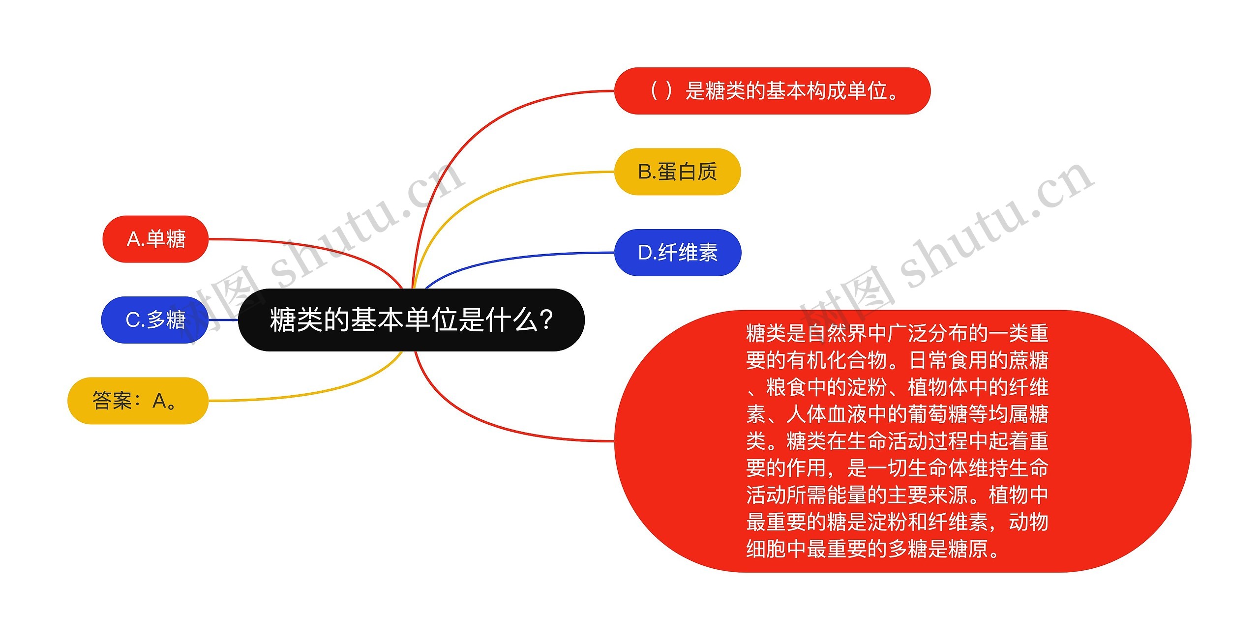 糖类的基本单位是什么?