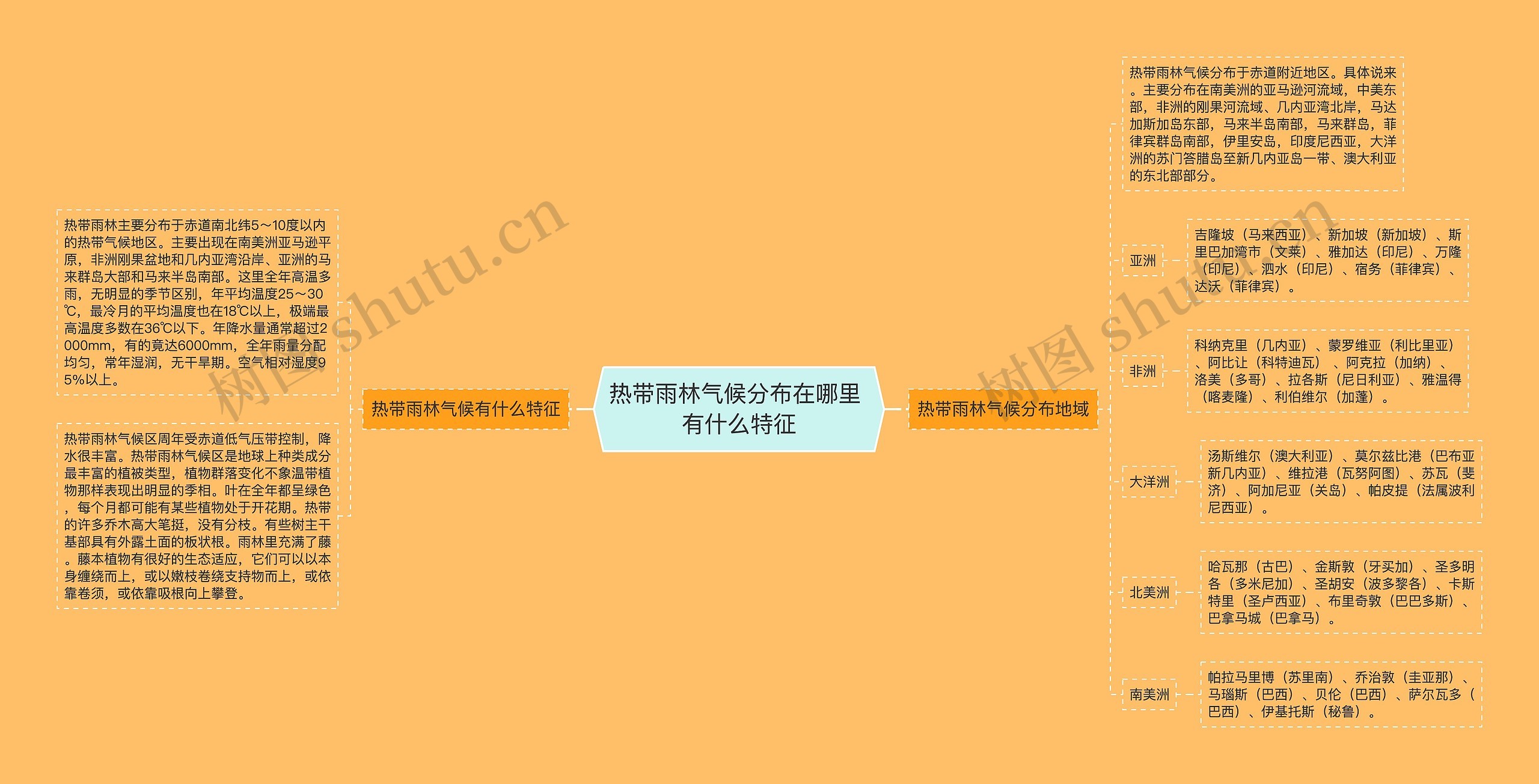 热带雨林气候分布在哪里 有什么特征思维导图