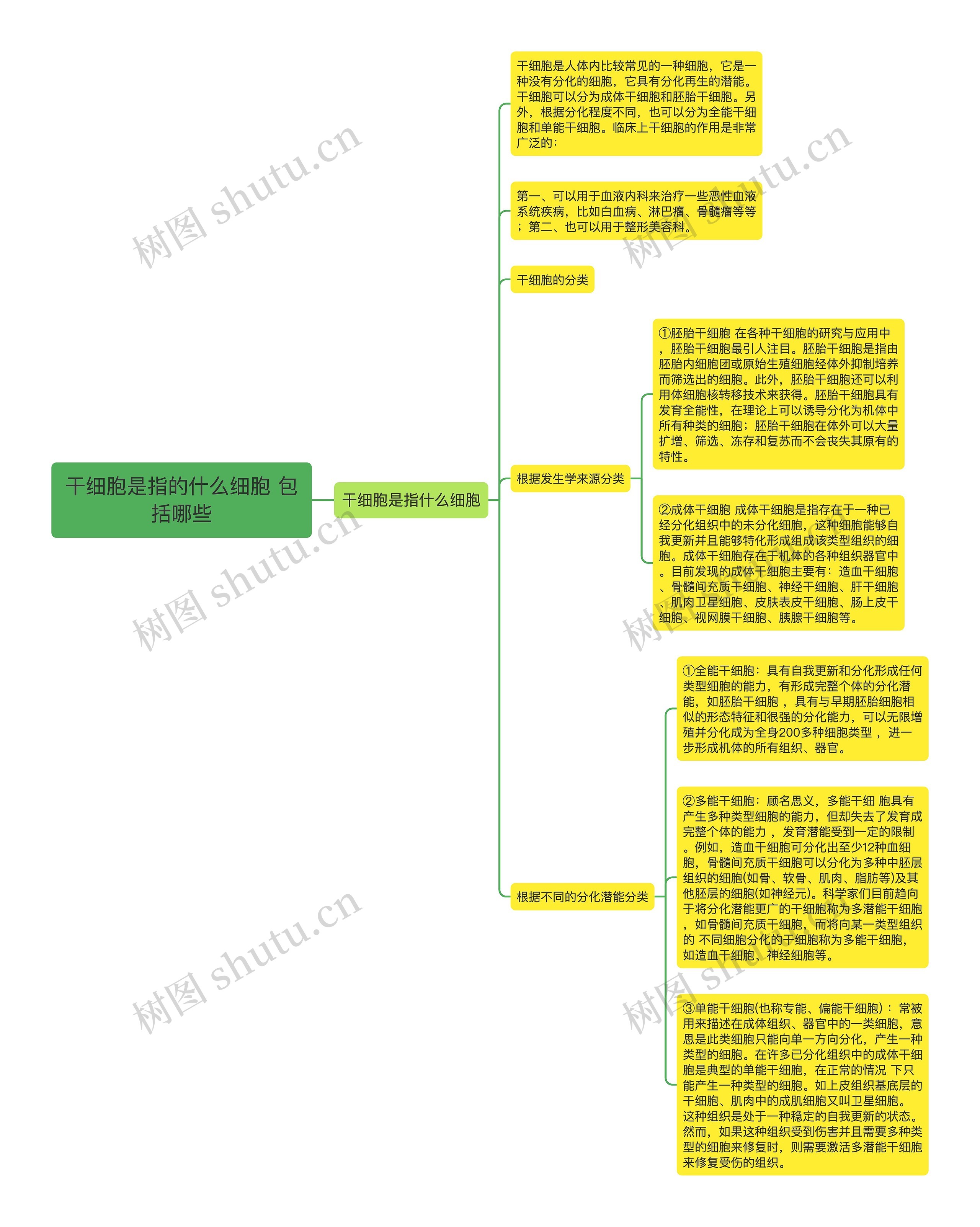 干细胞是指的什么细胞 包括哪些