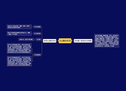 dna酶的作用