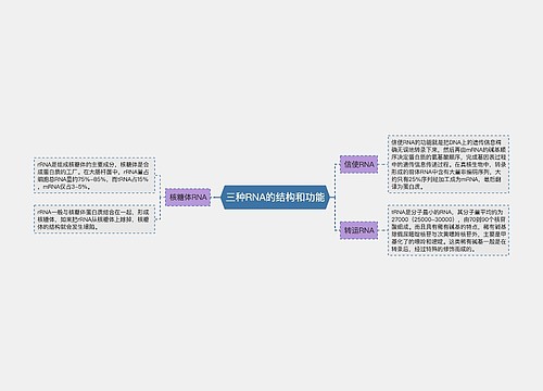 三种RNA的结构和功能