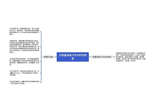 与细菌侵袭力有关的结构是