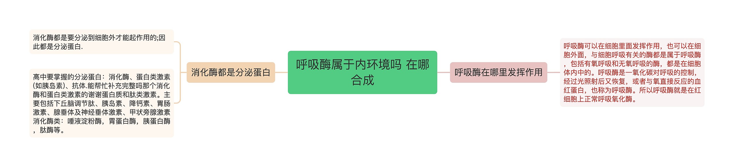 呼吸酶属于内环境吗 在哪合成