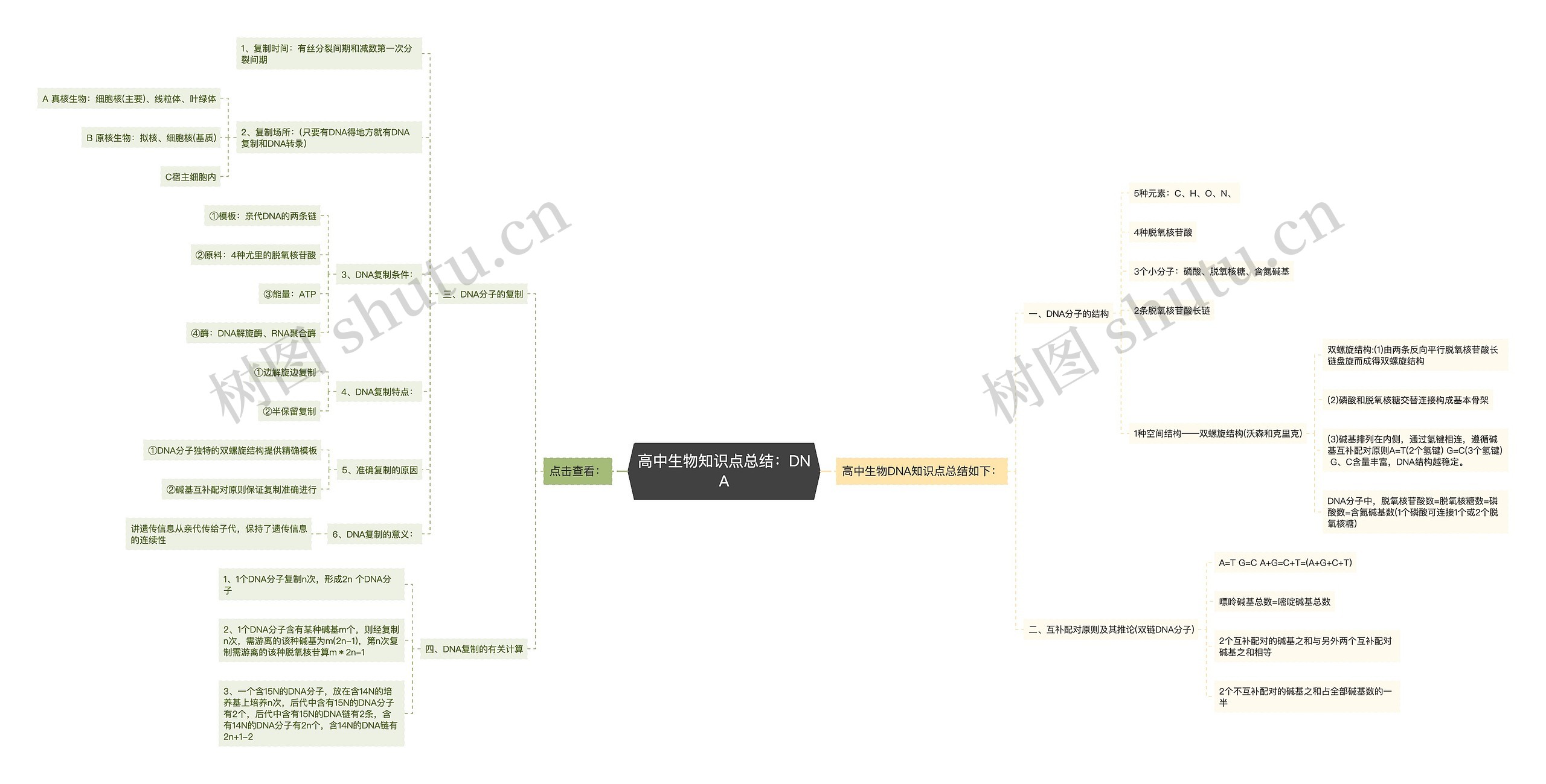 高中生物知识点总结：DNA思维导图