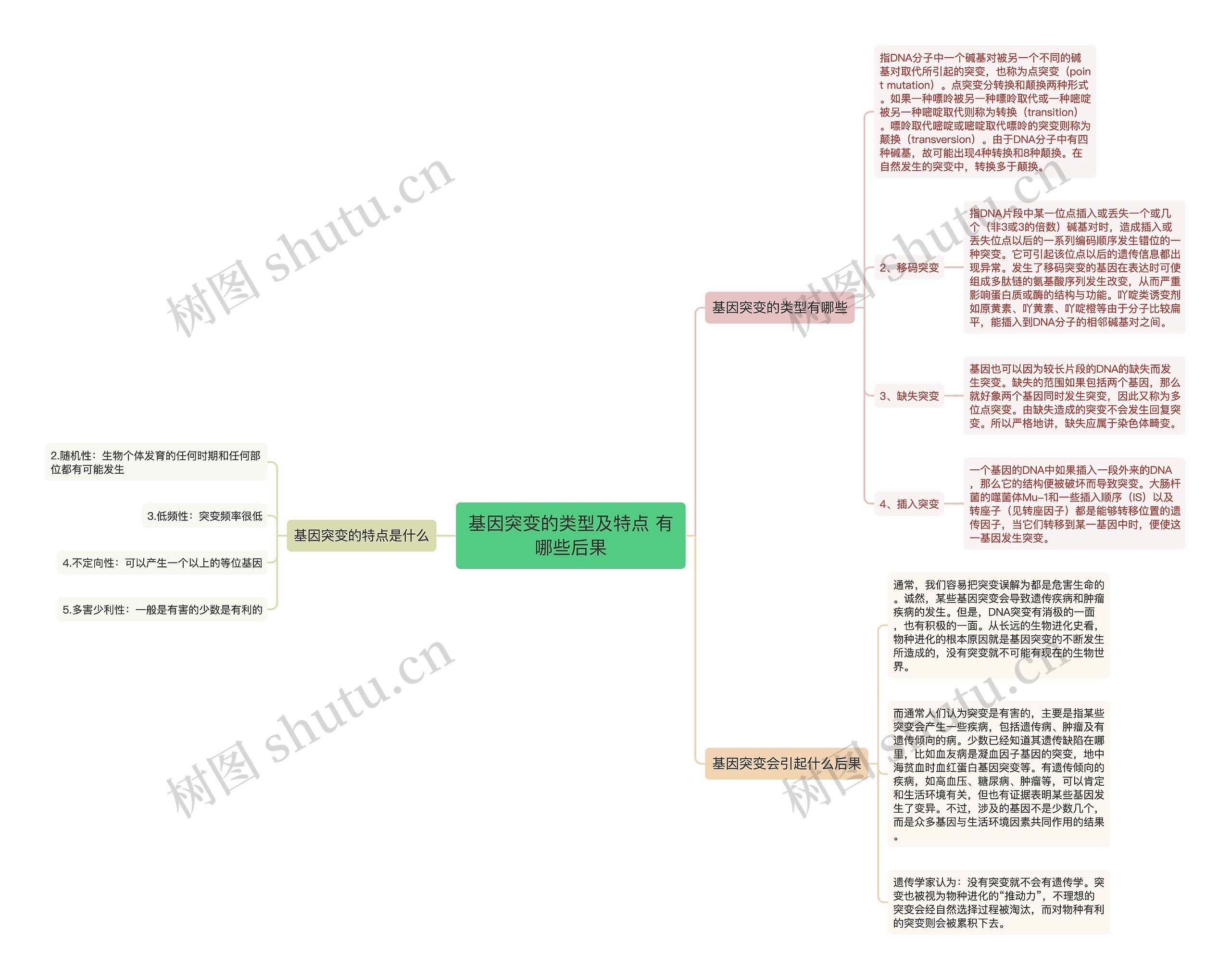 基因突变的类型及特点 有哪些后果