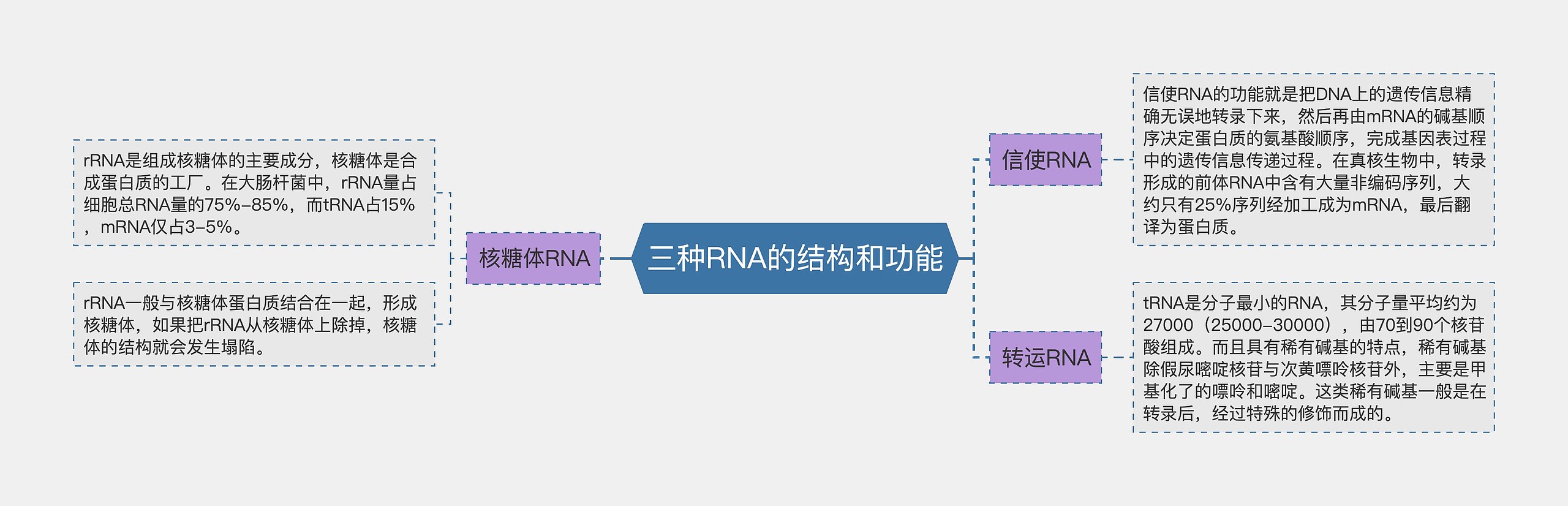三种RNA的结构和功能思维导图