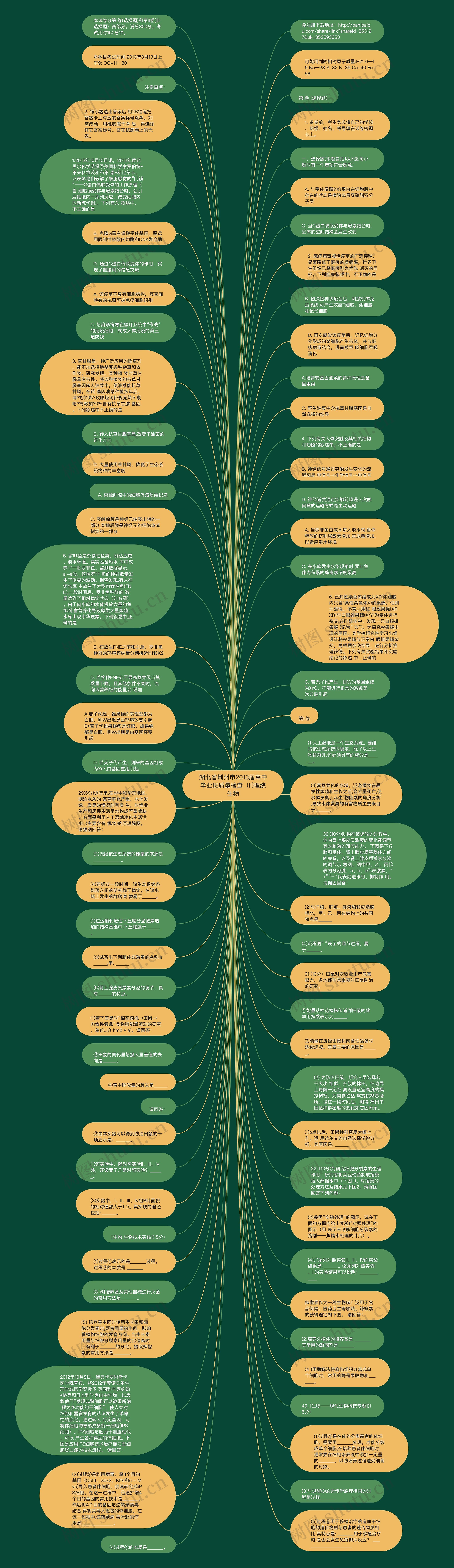 湖北省荆州市2013届高中毕业班质量检查（II)理综生物思维导图