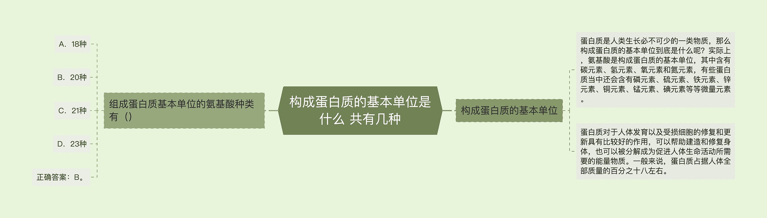 构成蛋白质的基本单位是什么 共有几种