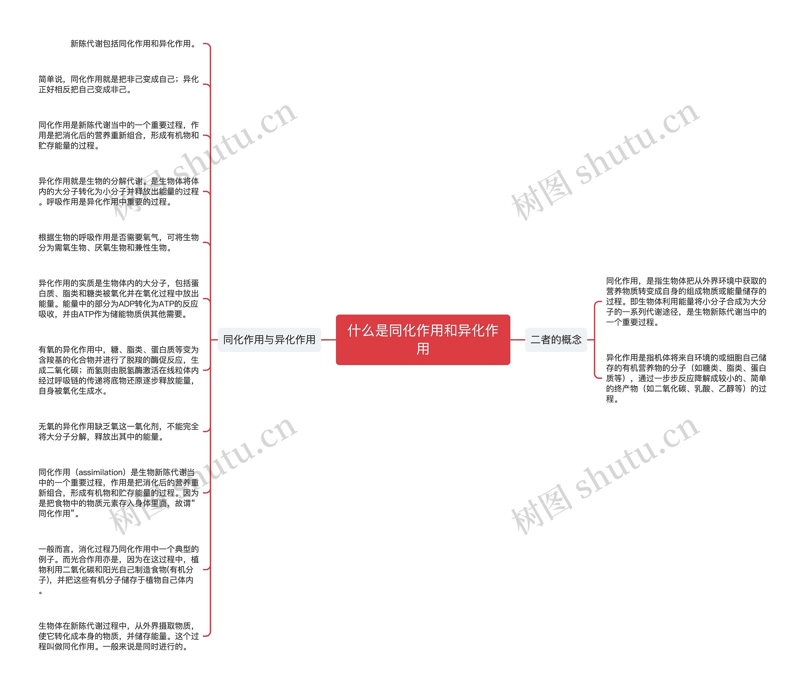 什么是同化作用和异化作用思维导图