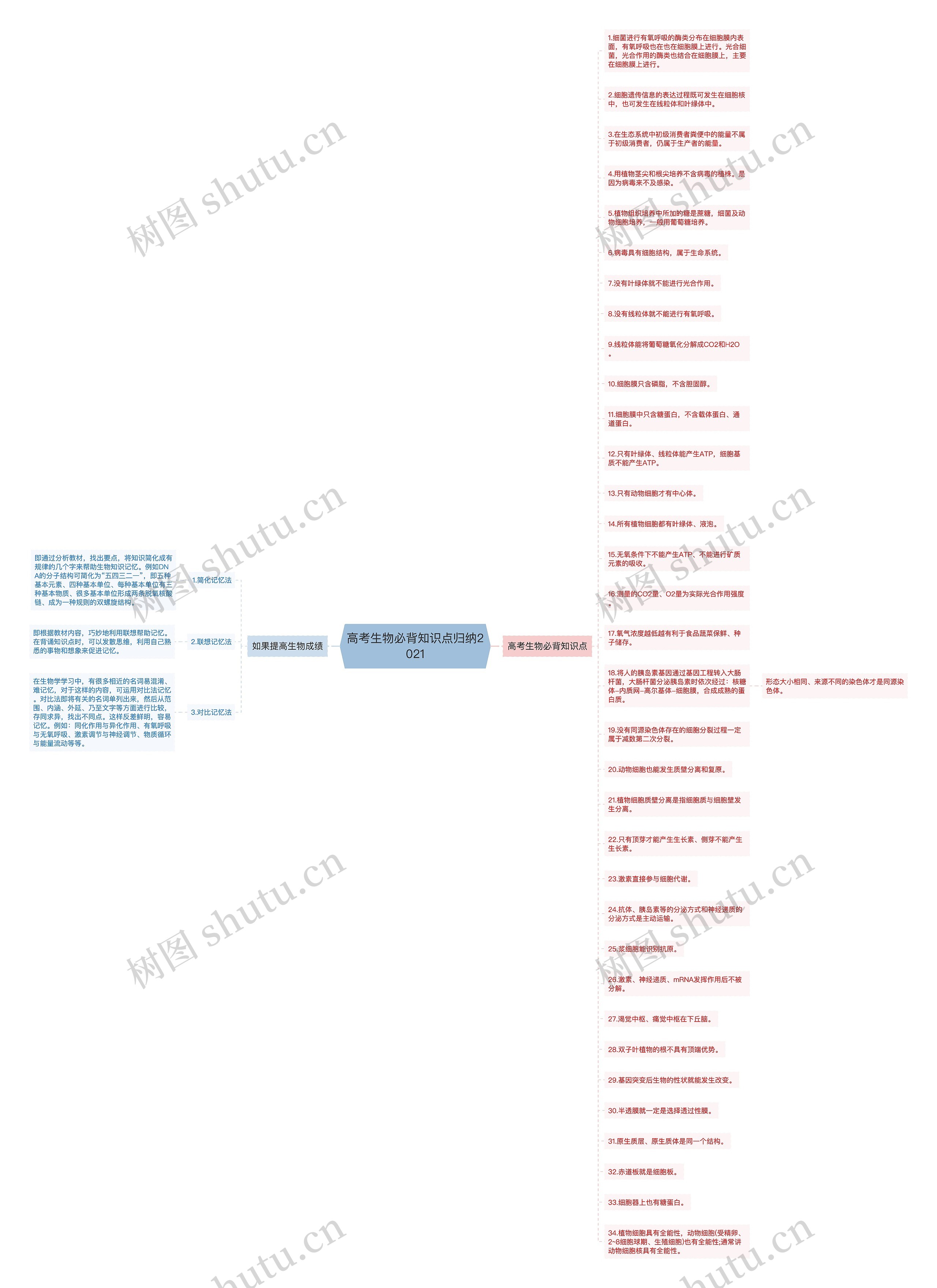 高考生物必背知识点归纳2021思维导图