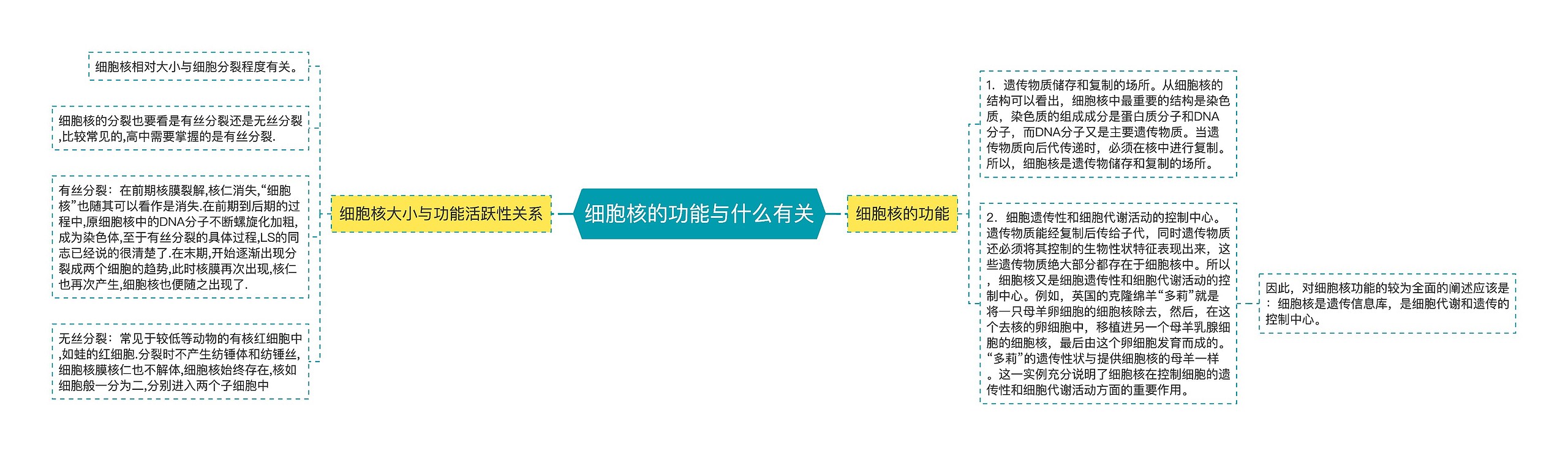 细胞核的功能与什么有关 细胞核的功能与什么有关