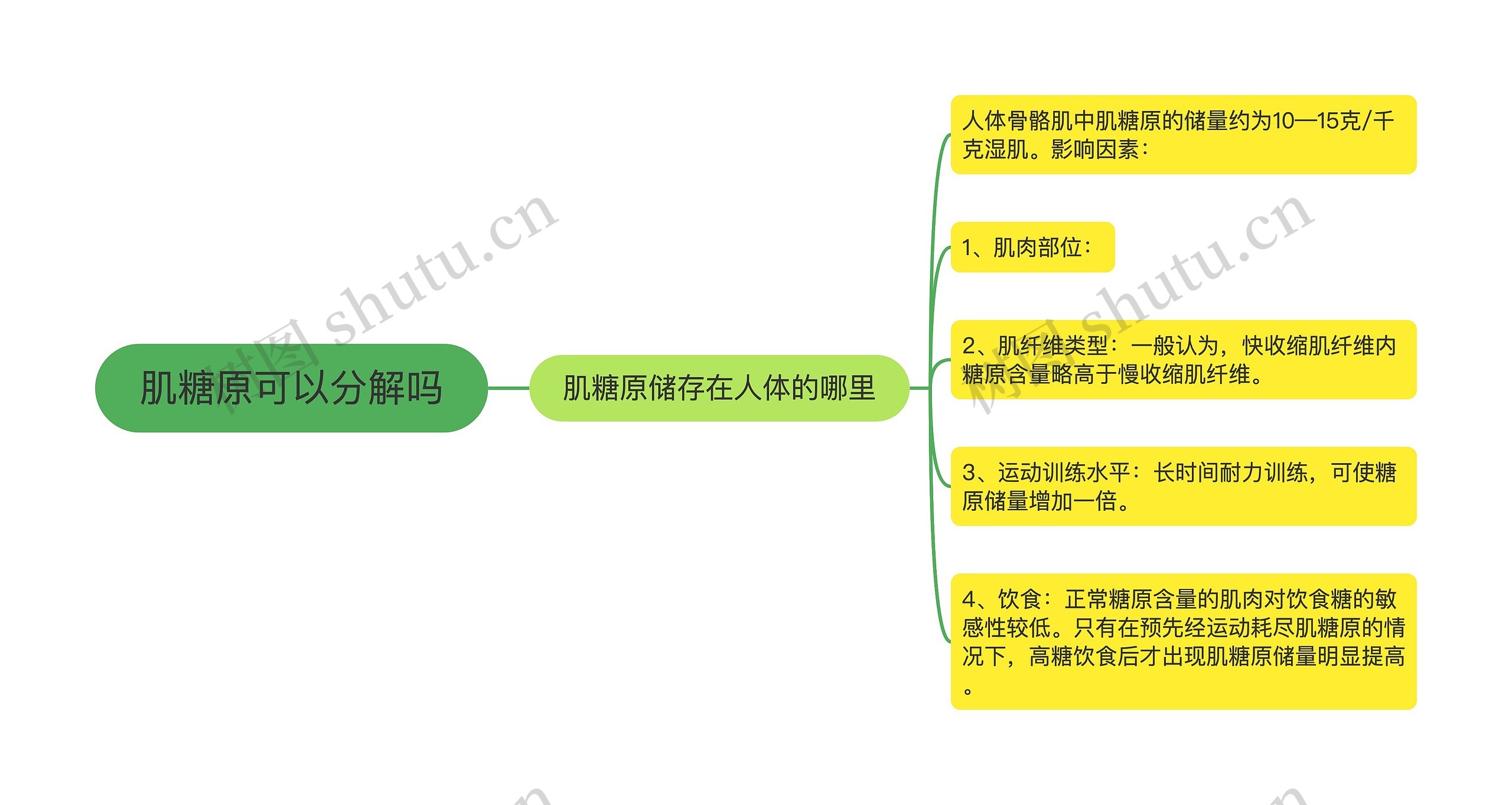 肌糖原可以分解吗