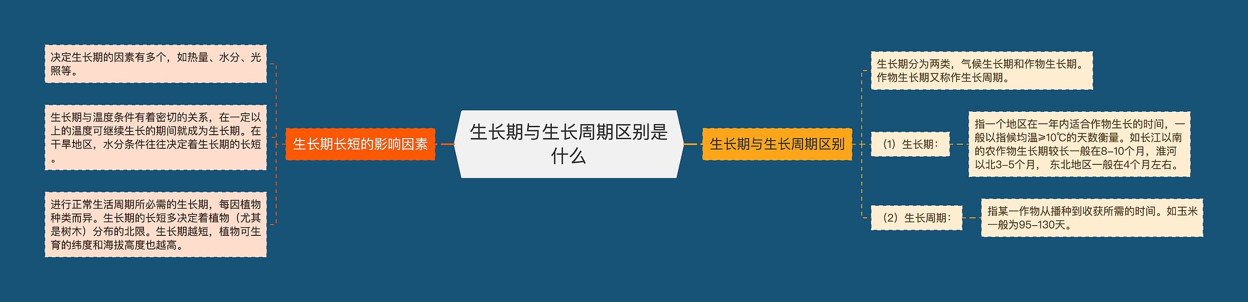 生长期与生长周期区别是什么
