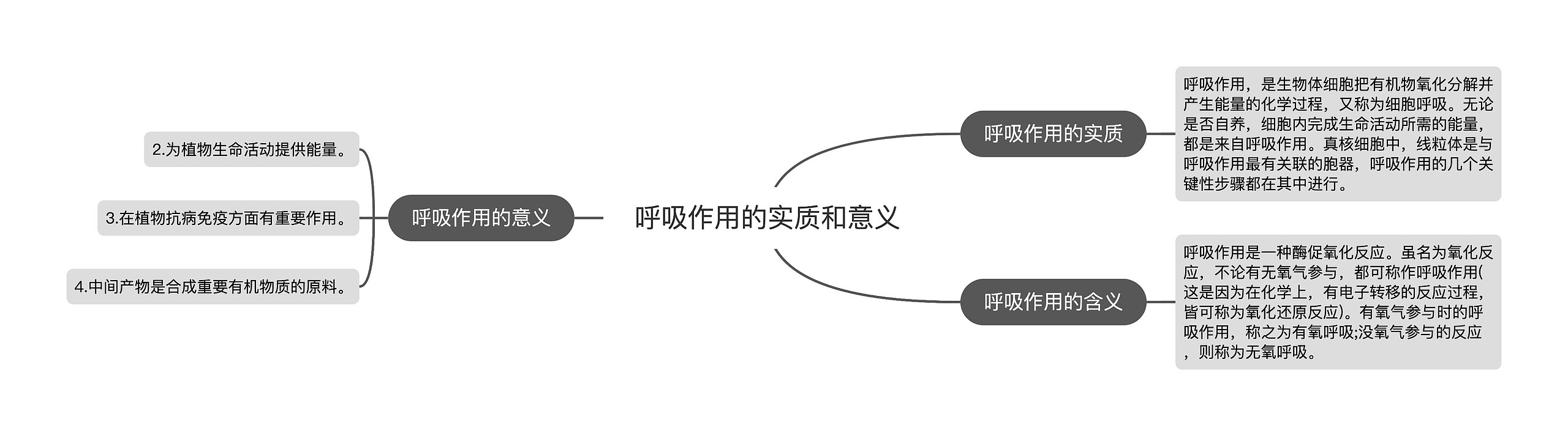 呼吸作用的实质和意义思维导图