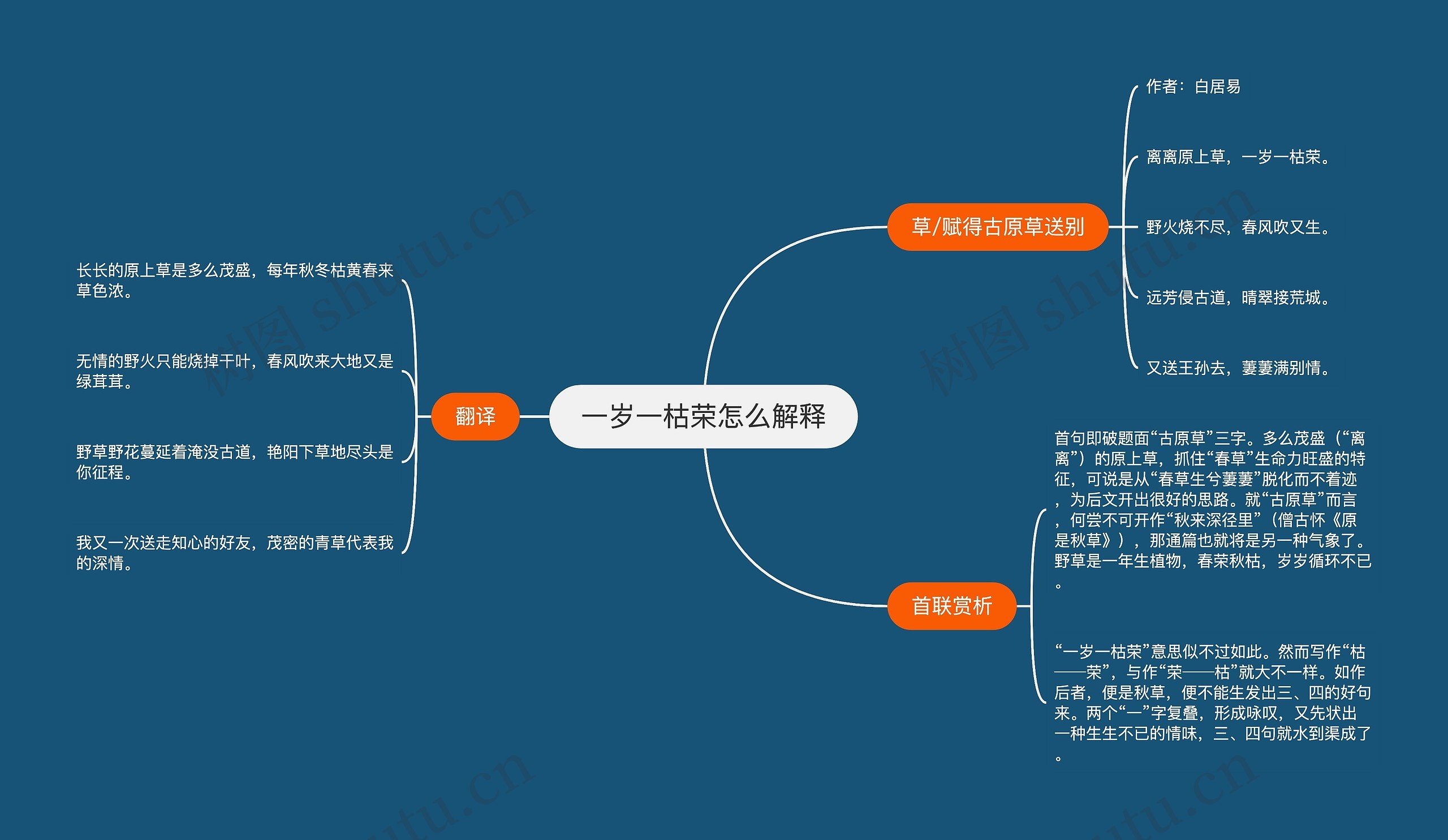 一岁一枯荣怎么解释思维导图