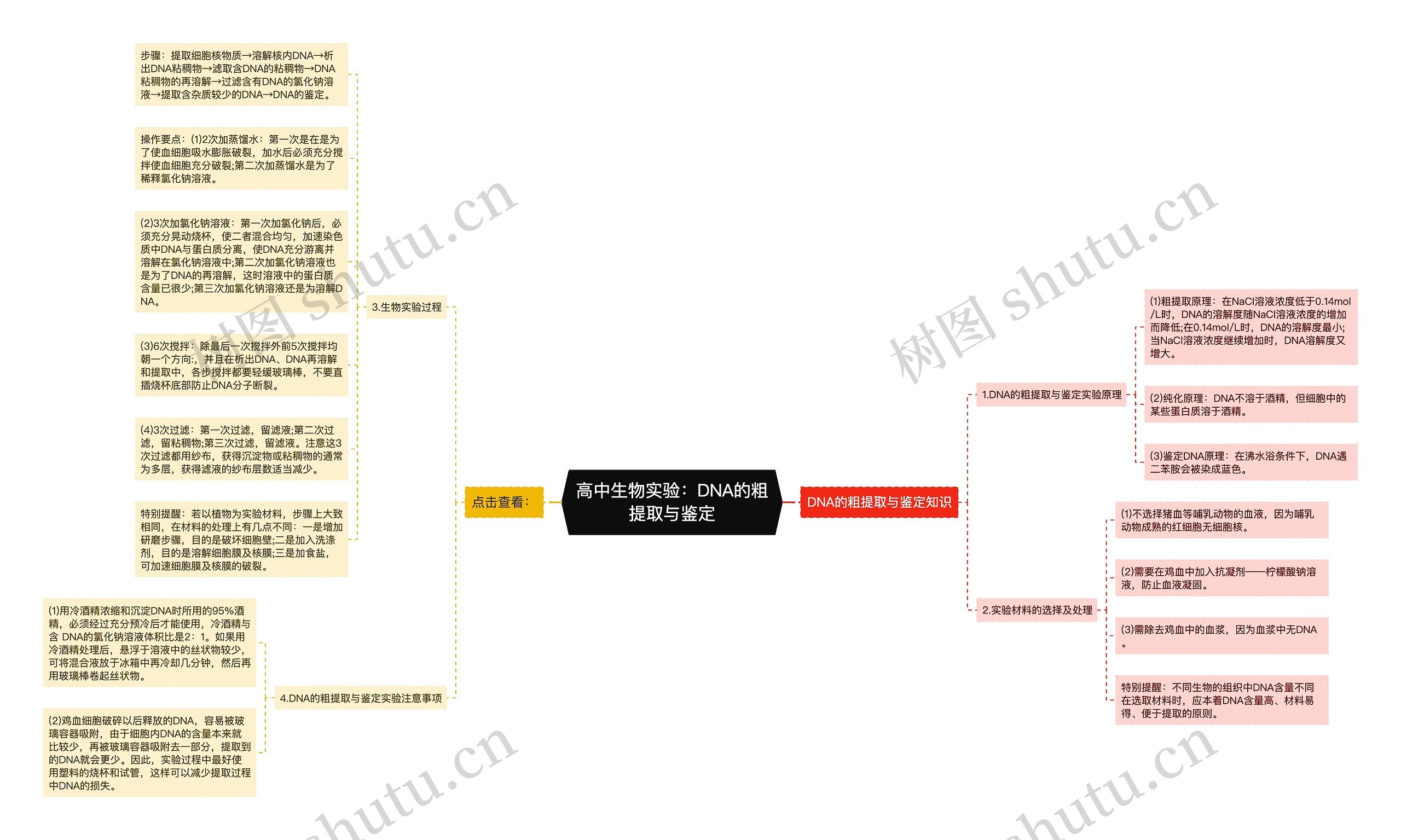 高中生物实验：DNA的粗提取与鉴定