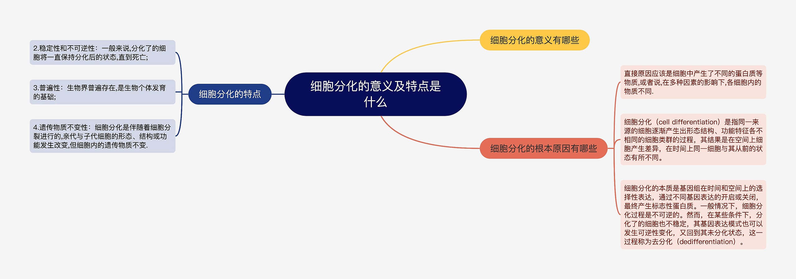 细胞分化的意义及特点是什么思维导图