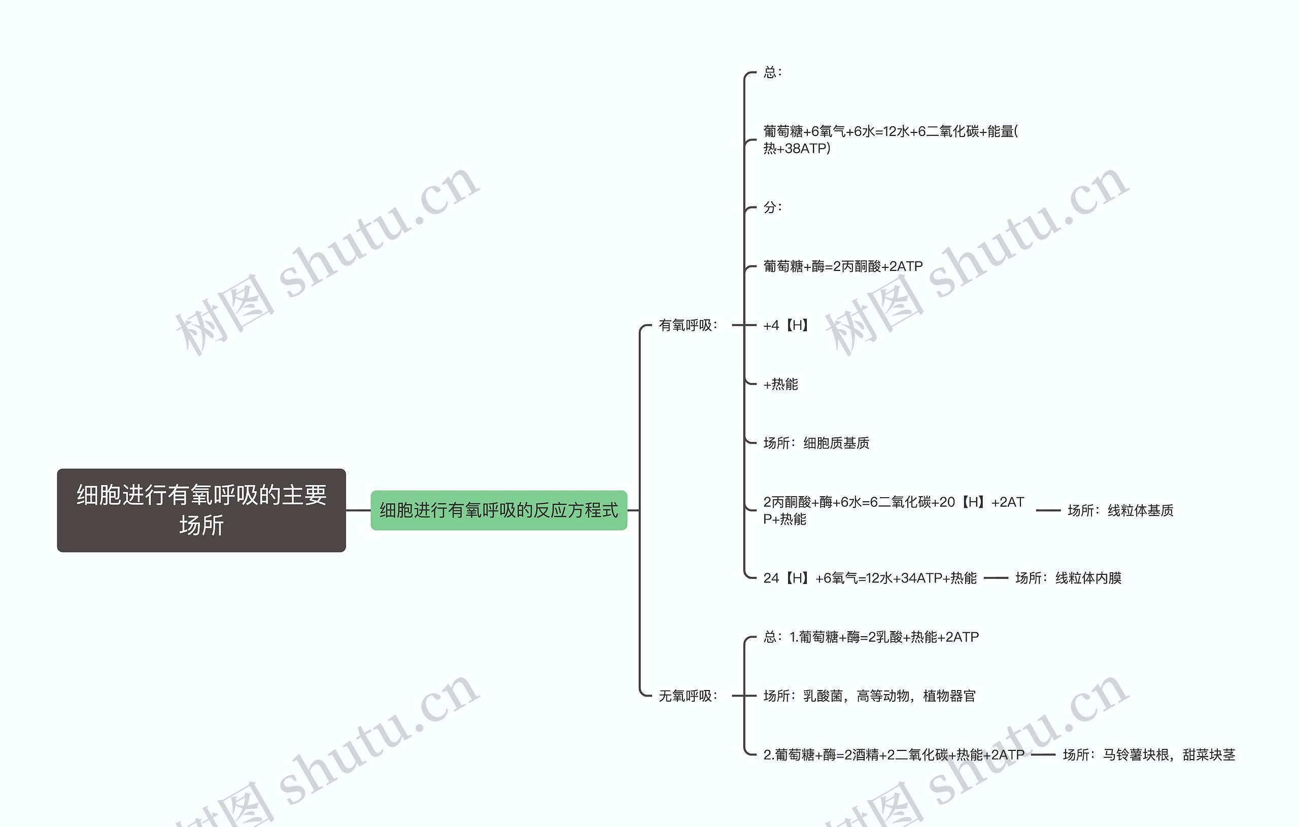 细胞进行有氧呼吸的主要场所思维导图