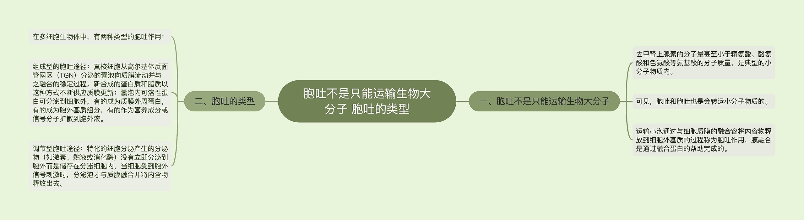 胞吐不是只能运输生物大分子 胞吐的类型思维导图