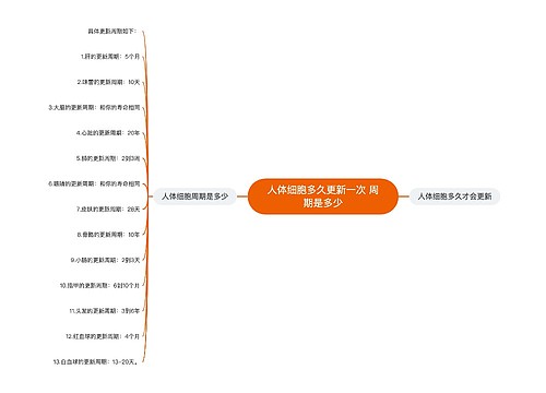 人体细胞多久更新一次 周期是多少