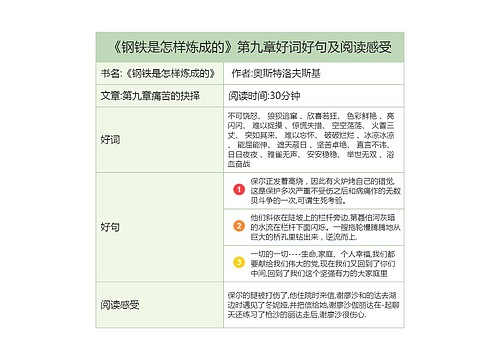 《钢铁是怎样炼成的》第九章好词好句及阅读感受