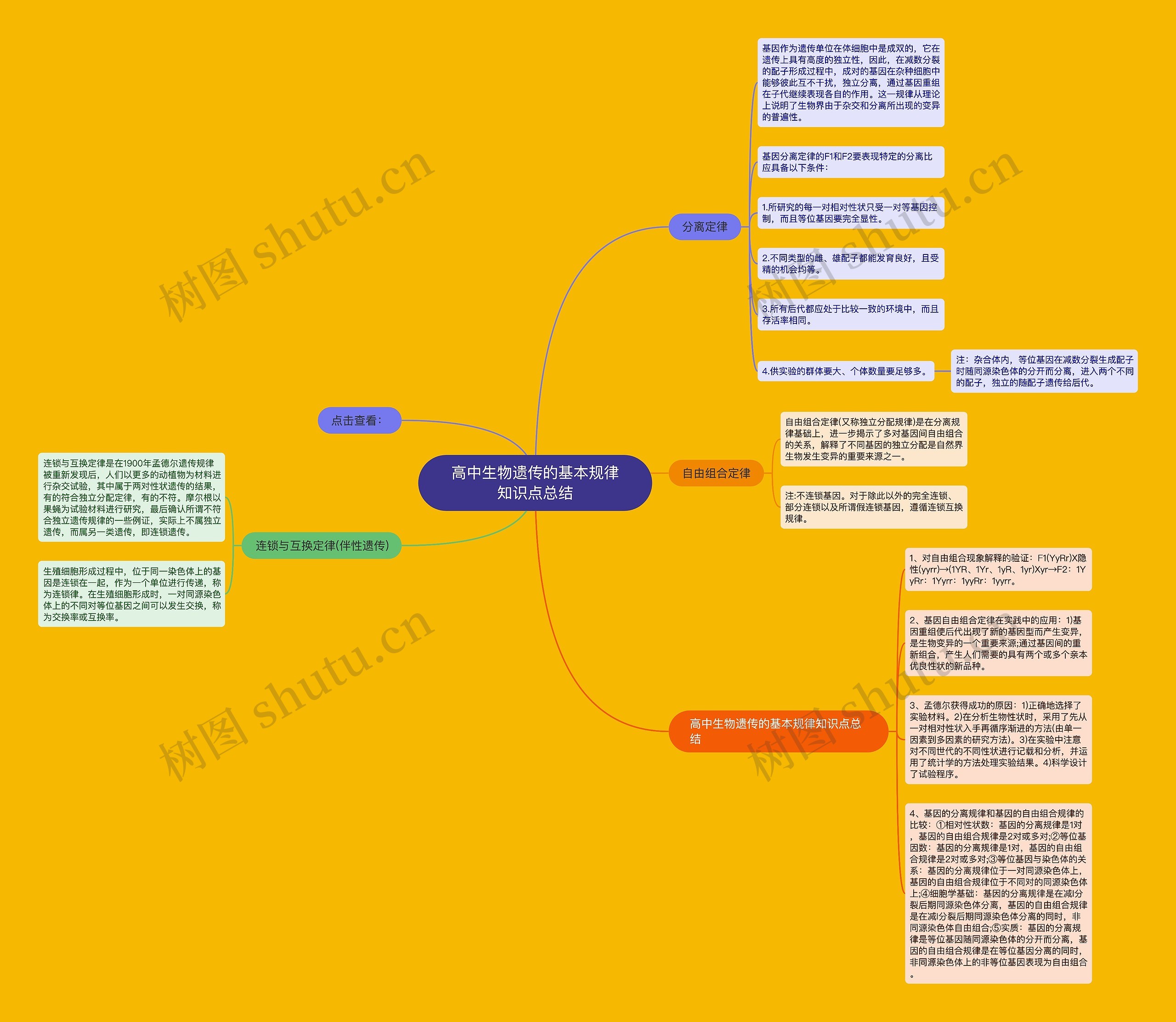 高中生物遗传的基本规律知识点总结思维导图