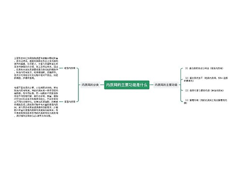 内质网的主要功能是什么