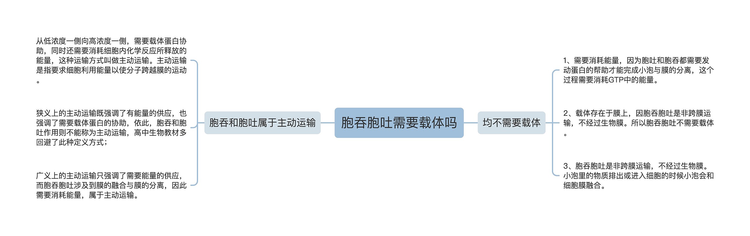 胞吞胞吐需要载体吗