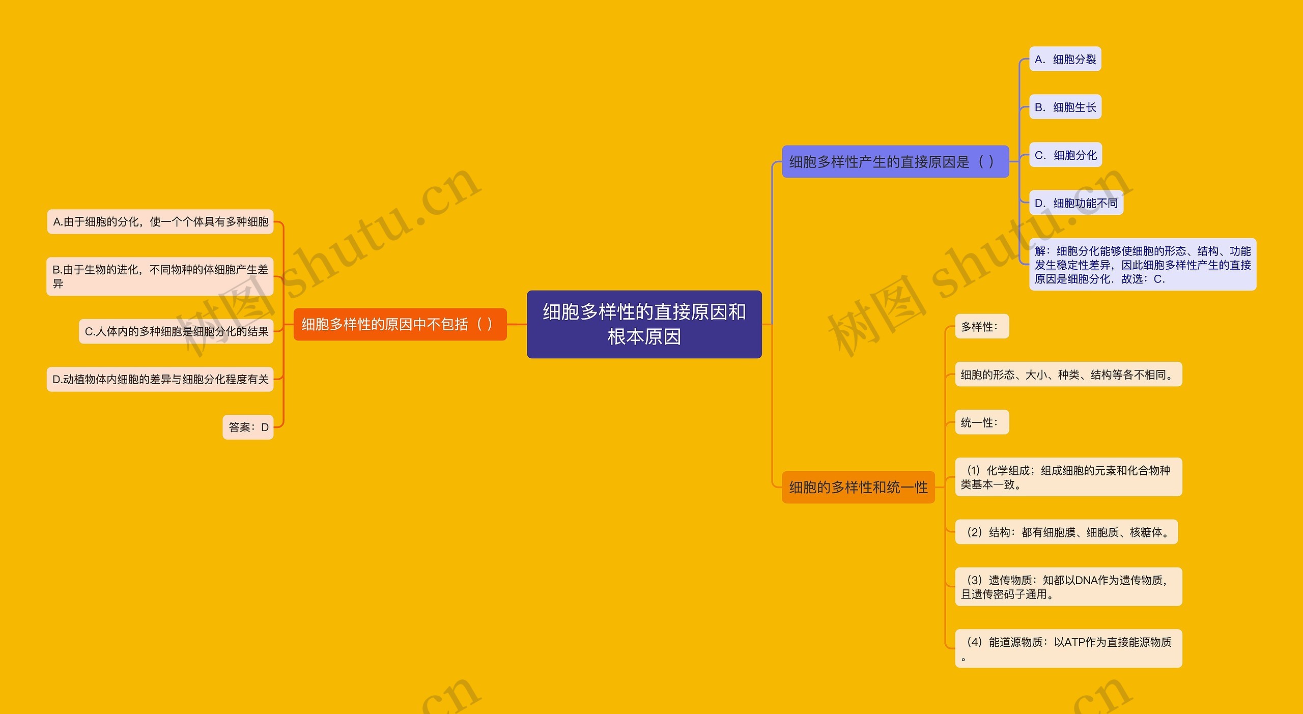 细胞多样性的直接原因和根本原因思维导图