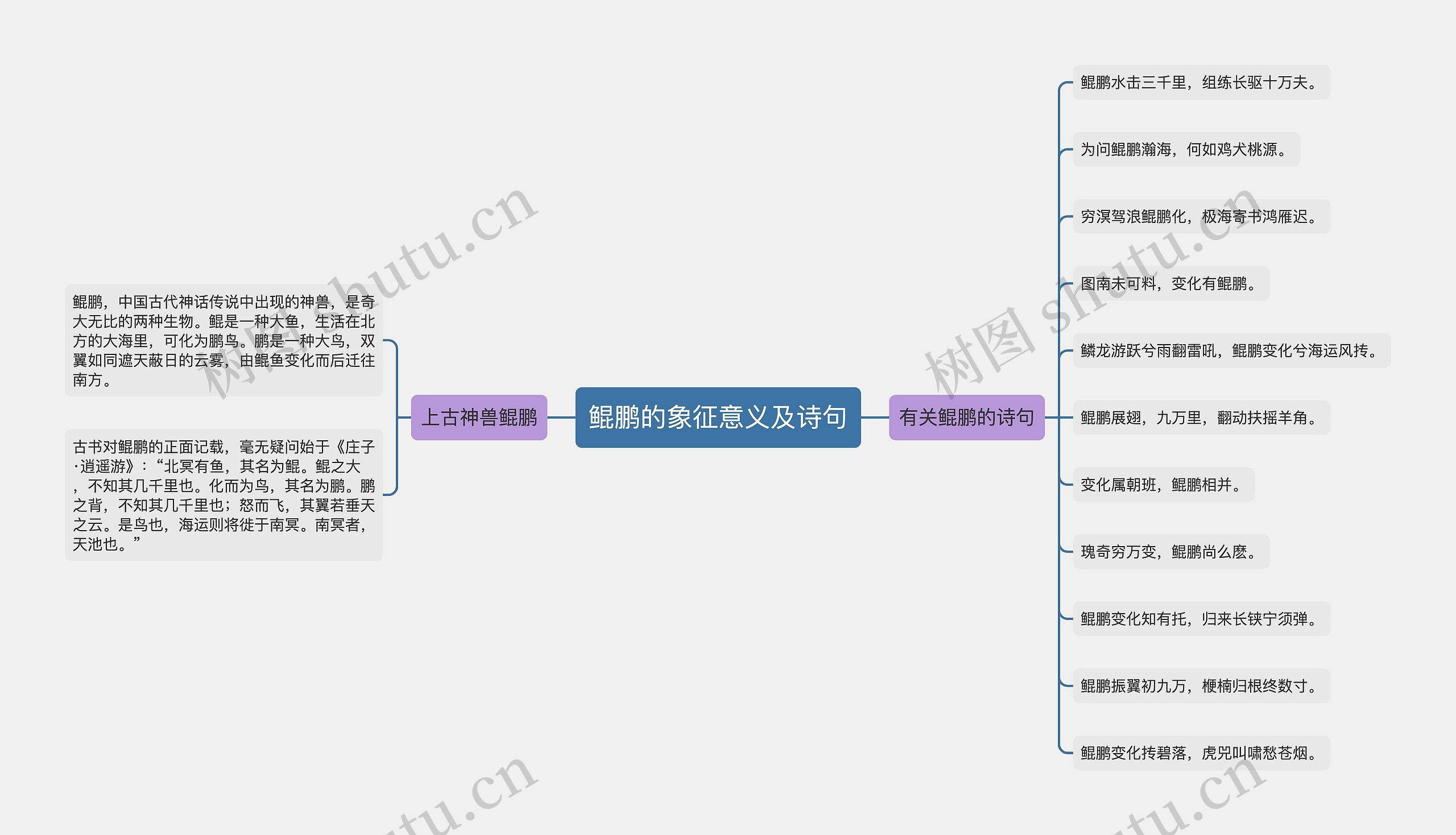 鲲鹏的象征意义及诗句思维导图