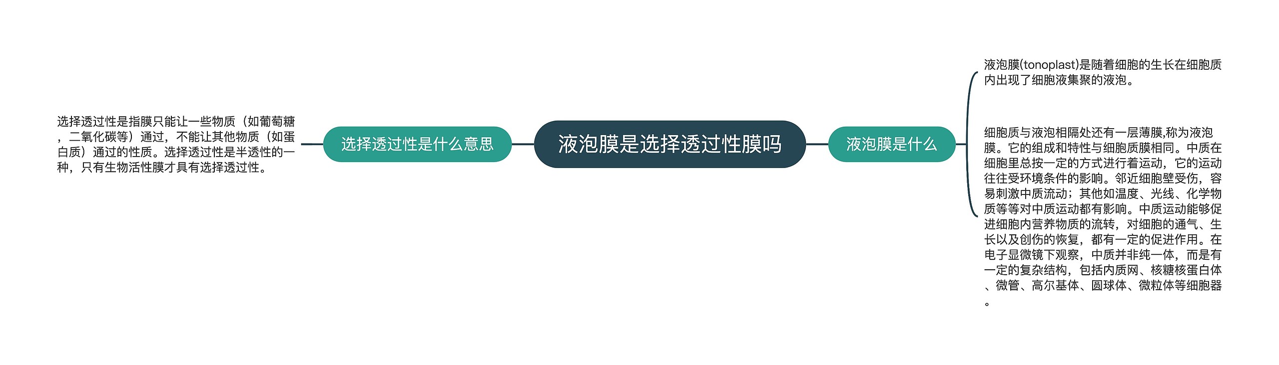液泡膜是选择透过性膜吗思维导图高清图 液泡膜是选择透过性膜吗思维导图